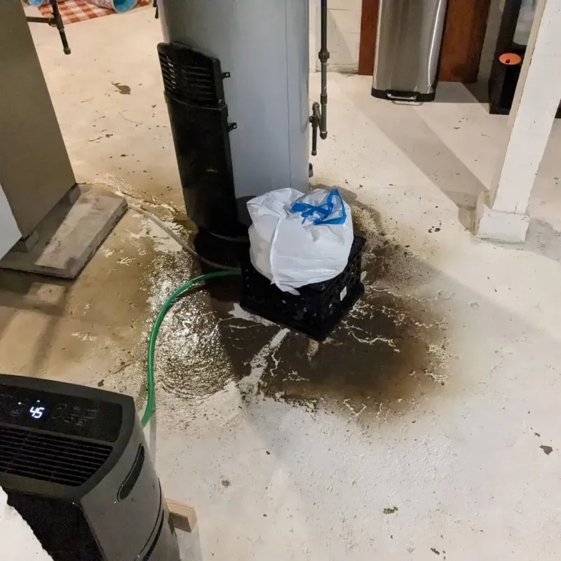 Sewage Backup Cleanup Service in Lakeview Estates, GA